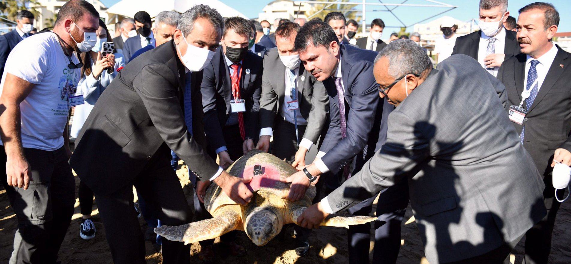 BAKAN ÖZER VE BAKAN KURUM, CARETTA CARETTALARI DENİZLE BULUŞTURDU